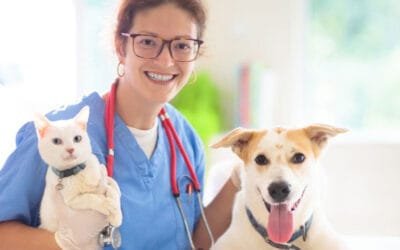 Are Pest Control Treatments Safe and Pet-Friendly?