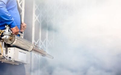 13 Pest Prevention Tips for Homes and Businesses