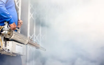 13 Pest Prevention Tips for Homes and Businesses