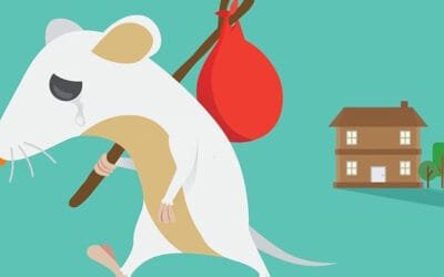Types of Rodents That Invade Homes and Businesses