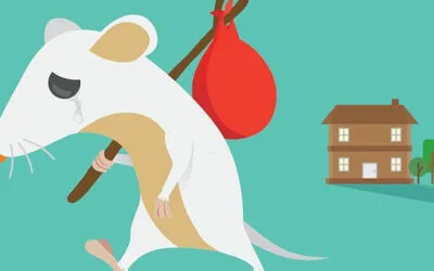 Types of Rodents That Invade Homes and Businesses