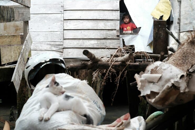 girl-looking-cat-through-window_1048944-11622824